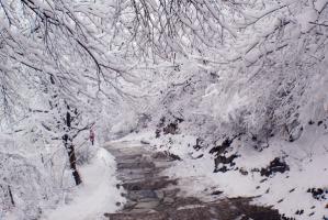 Fragrant Hill Park Snow Impression